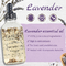 Het zuivere Natuurlijke Witten Bevochtigende en Stabiliserende het Lichaamshand van het Lavendelhaar en Nagelverzorgingetherische olie